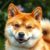 Shiba inu: charakter, wymagania i najważniejsze potrzeby zdrowotne rasy
