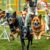 Rasy psów do sportów kynologicznych: wybór do agility, obedience, noseworku i dyscyplin zaprzęgowych